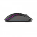 Mouse Dareu A950 Wireless Star Black (TM243F08603R)