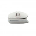 Mouse Rapoo M300 Silent màu xám trắng (Wireless, Bluetooth)