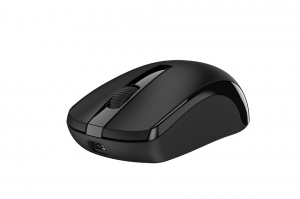 Mouse Genius ECO 8100 Wireless (Đen)#1
