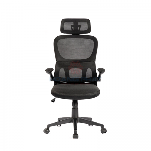 Ghế công thái học Vitra Ergo Vision X301 Black#1