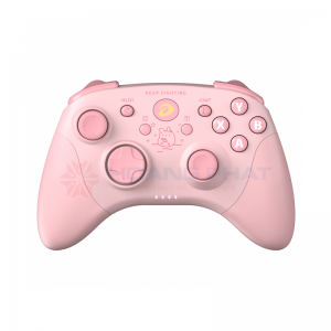 Tay game DareU H101X Wireless Pink#1