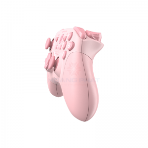 Tay game DareU H101X Wireless Pink#6