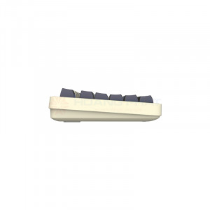 Bàn phím cơ DarkFlash  DF98 Twilight Wireless Yellow switch#2