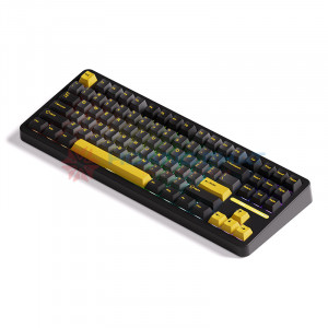 Bàn phím cơ AKKO TAC87 Black&Gold Mirror Switch (USB Type-C)#4