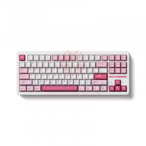 Bàn phím cơ AKKO TAC87 Prunus Lannesiana Stellar Rose Switch#2