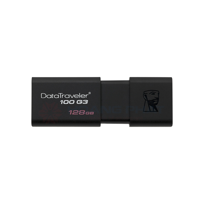 USB Kingston DT100G3 128GB