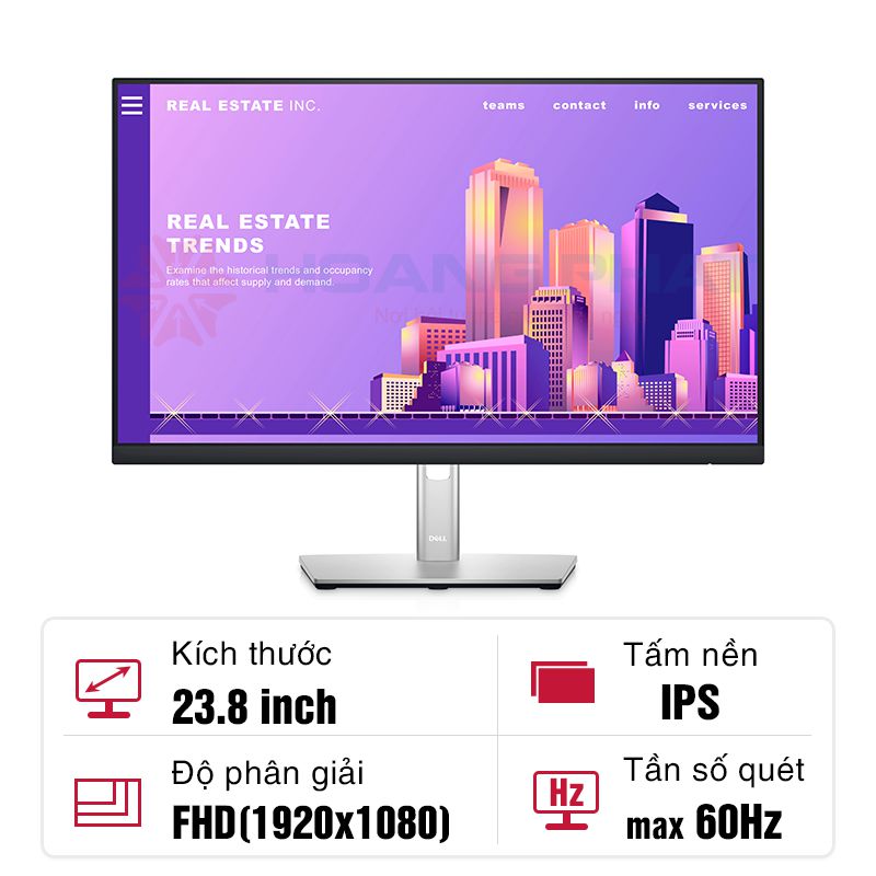 Màn hình Dell IPS P2422H 23.8 inch