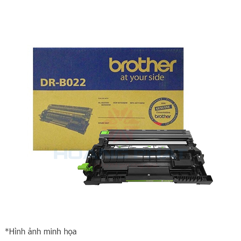 Drum Cartridge Brother Laser DR-B022