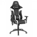 Ghế Ace Gaming Rogue Series KW-G6027 Black/White