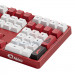 Bàn phím cơ AKKO 5108B Plus Red World Tour Viet Nam V3 Pro Piano