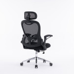 Ghế công thái học E-Dra EEC224 Black