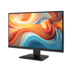 Màn hình MSI PRO MP243L E14 23.8-inch IPS 144Hz